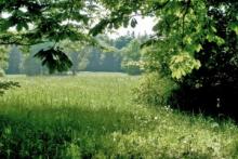 ������� ��� ������� ��� � ��������? ������� ����� �������������� �������� ��� ������������ 