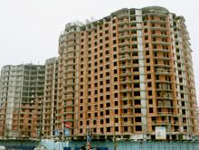 ������������ ����� ��������� ����