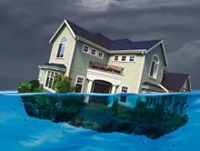 ������� ��� ����� ������������� �������� ����� ������ ������