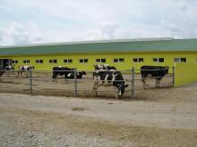 ����� ����� ��������� � ������������� �������