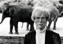 �������� ���� ������� ���������� �� �������