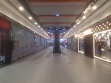 ����� 320 ���. ��.� �������� �������� ������ �� ��� � ������ � �������-���������