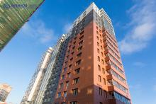 � ������� 2019 ���� ������� ���� ����������� ����� �� ��������� ����� ����� ��������� 53 ������ ������