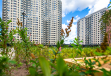 ������ ������� �� iD ������ ������ ��������